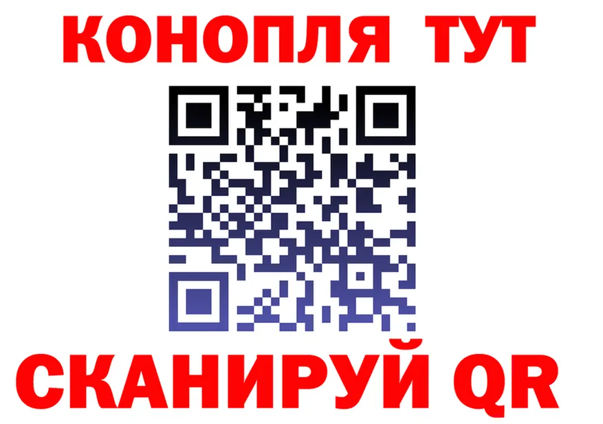 А ПВП СК маркетплейс shop hydra Лаишево