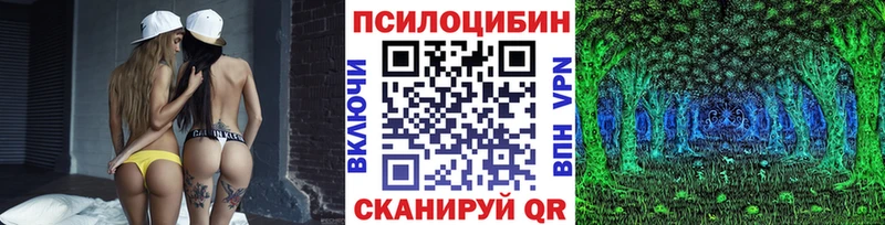 хочу наркоту  Лаишево  Галлюциногенные грибы MAGIC MUSHROOMS 